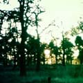 Nearly sunset