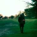 In the woods